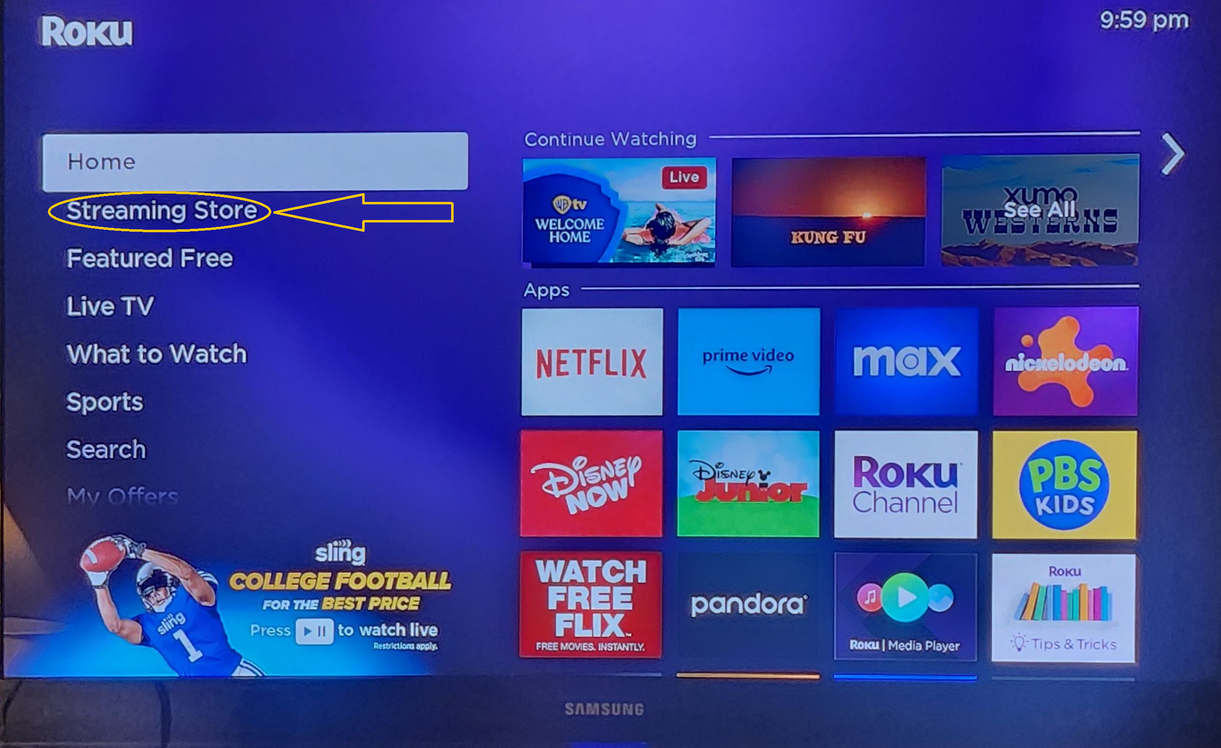 Roku Streaming Store